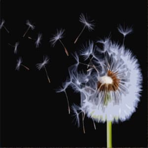 The Wind and the Rain - Nature Sounds Collection