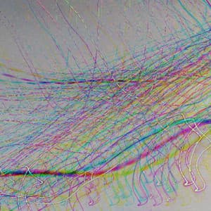 Echoes of Soft Minutes - Restaurant Background Playlist