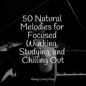 The Best Melodies | Meditation Focus - Relaxing Piano Jazz Music Ensemble