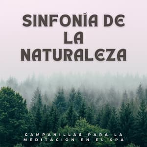 Sinfonía De La Naturaleza: Campanillas Para La Meditación En El Spa - Naturaleza Caldwell