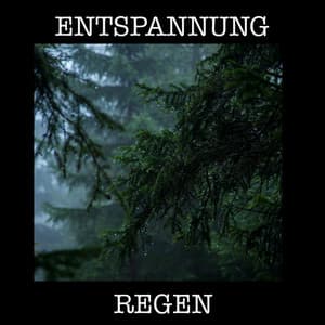 Entspannung Regen - Entspannende Blume