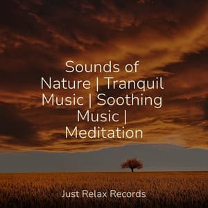 Sounds of Nature | Tranquil Music | Soothing Music | Meditation - Relajación