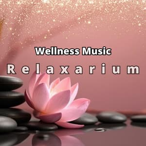 Wellness Music - Relaxarium