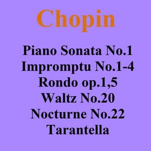 ピアノソナタ第1番、即興曲 他 - Pianozone