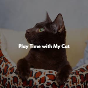 Play Time with My Cat - Working at Home
