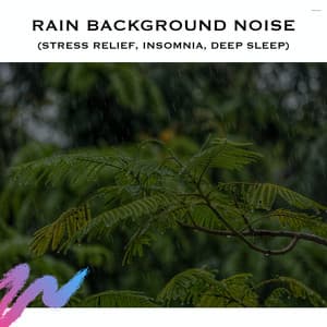 Rain Background Noise - Serene Rose