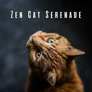 Zen Cat Serenade: Piano Meditations for Calming Cats - Classy Piano Jazz Background