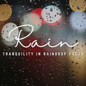 Rainfall Focus: Concentration with Nature's Symphony - Night Sounds Association