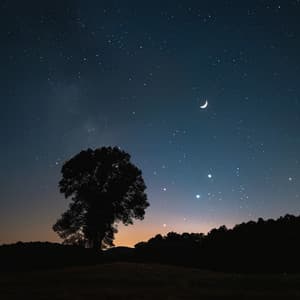 Música Para Dormir Profundamente Para Noches De Descanso - Latidos de soledad