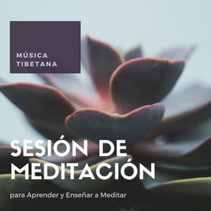 Sesión de Meditación: Música Tibetana para Aprender y Enseñar a Meditar - Karol Anaya Arenas