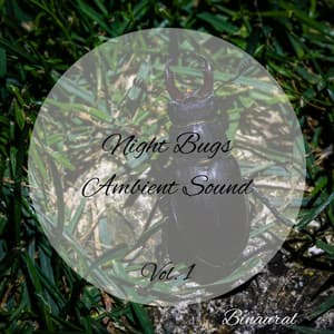 Binaural: Night Bugs Ambient Sound Vol. 1 - Binaural Landscapes