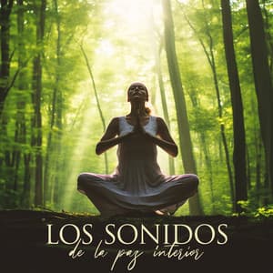 Los sonidos de la paz interior - Música Zen Relaxante