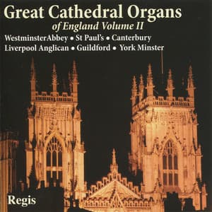 Great Cathedral Organs of England, Vol. 2 - Allan Wicks