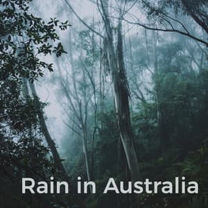 Rain in Australia - Rain Sounds XLE Library