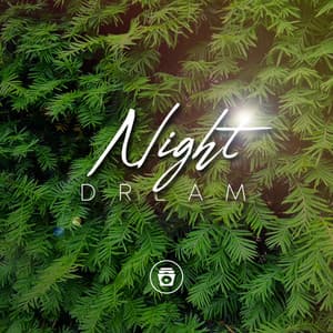 Night Dream - ASMR Earth