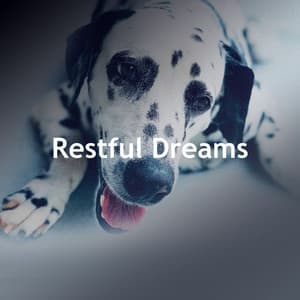 Restful Dreams - Puppy Sleep