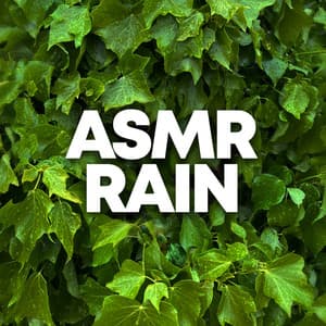 ASMR Rain - Relaxing Rain Sounds