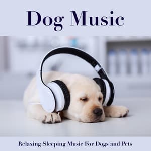 Dog Music: Relaxing Sleeping Music For Dogs and Pets - Dog Music