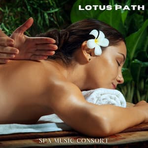 Lotus Path: Calming Spa Sounds - Spa Music Consort