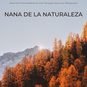 Nana De La Naturaleza: Duerme Profundamente Con Paisajes Sonoros Relajantes - La Naturaleza Del Sueño