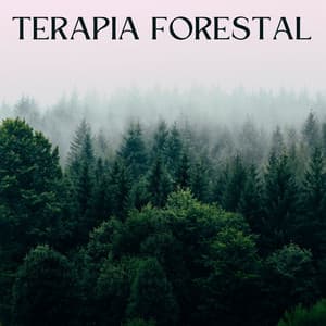 Terapia Forestal - Ruidos ambientales forestales