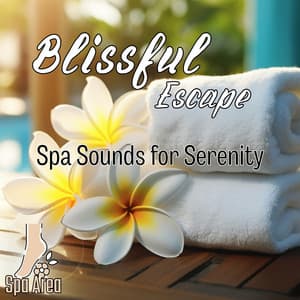 Blissful Escape: Spa Sounds for Serenity - Spa Area