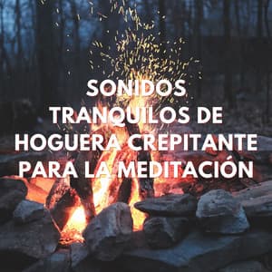 Llamas De La Quietud: Sonidos Tranquilos De Hoguera Crepitante Para La Meditación - Sonidos cálidos y fríos de fuego