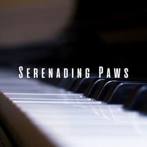 Serenading Paws: Meditative Piano for Beloved Pets - Piano Music