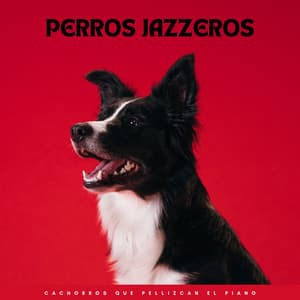 Perros Jazzeros: Cachorros Que Pellizcan El Piano - Romance de jazz suave
