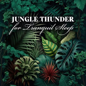 Jungle Thunder for Tranquil Sleep - Tropical Rain for Meditation, Mindfulness and Relaxation - Johnny Rainer