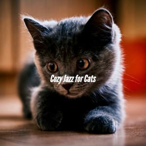 Cozy Jazz for Cats - Soft Jazz & Coffee