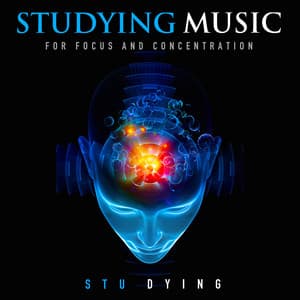 Studying Music for Focus and Concentration - Stu Dying
