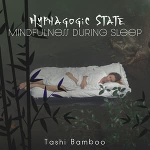 Hypnagogic State: Mindfulness During Sleep - Tashi Bamboo