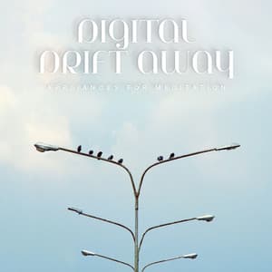 Digital Drift Away - Appliances for Meditation