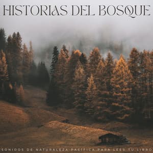 Historias Del Bosque: Sonidos De Naturaleza Pacífica Para Leer Tu Libro - Sonidos relajantes de la selva tropical