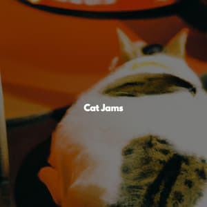 Cat Jams - Chill Jazz Vibes