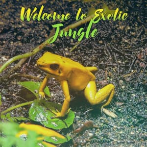Welcome to Exotic Jungle - Exotic Nature Kingdom