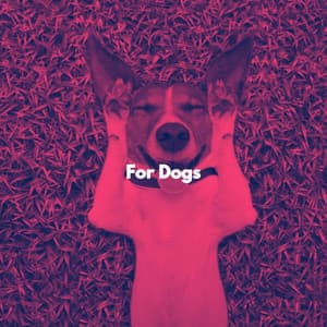 For Dogs - Coffee Table Jazz Radio