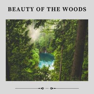 Beauty of the Woods - Mother Nature Recordings