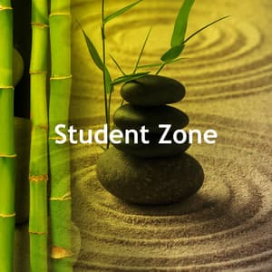 Student Zone - Study Zone