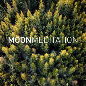Dreamland Melodies - Moon Meditation