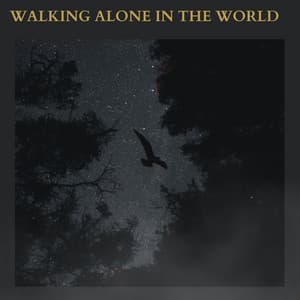 Walking Alone In The World - Amalofi