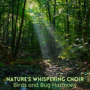 Nature's Whispering Choir: Birds and Bug Harmony - Bosque Tropical