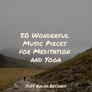 50 Wonderful Music Pieces for Meditation and Yoga - Relaxing Music