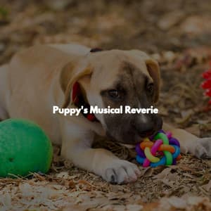 Puppy's Musical Reverie - Luxury Restaurant Music