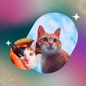 Entertaining Music for Happy Cats - Sax Jazz - Calm Cat Music