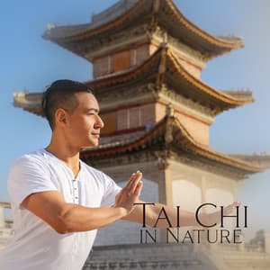 Tai Chi in Nature: Peaceful Music for Tai Chi Practice, Shiatsu Massage, and Inner Balance - Inseok Kang