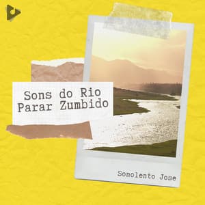 Sons do Rio Parar Zumbido - Sonolento Jose