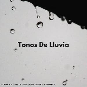 Tonos De Lluvia: Sonidos Suaves De Lluvia Para Despejar Tu Mente - Fabricantes de lluvia suave