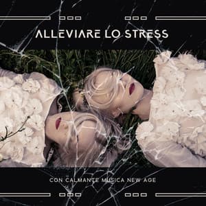 Alleviare lo Stress con Calmante Musica New Age: Momento di Respirazione e Relax nell'isola Tropicale - Musica Relax Academia